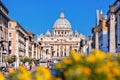 Basilica of Saint Peter in the Vatican with spring flowers, Rome, Italy Royalty Free Stock Photo