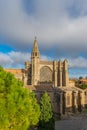 Basilica of Saints Nazarius and Celsus, Carcassonne, France. Vertical