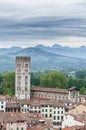 Basilica of San Frediano in Lucca, Italy. Royalty Free Stock Photo