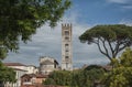 Basilica of San Frediano in romanesque style - XII century in the ancient town of Lucca, Tuscany Royalty Free Stock Photo