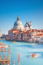 Basilica Santa Maria della Salute in Venice Royalty Free Stock Photo