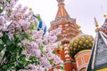 Basilius Cathedral with purple lilac Royalty Free Stock Photo