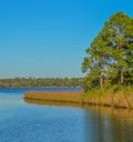 Basin Bayou in Freeport, Walton County, Florida Royalty Free Stock Photo