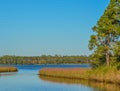 Basin Bayou in Freeport, Walton County, Florida Royalty Free Stock Photo