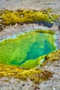 Basin with small green alkaline water geyser