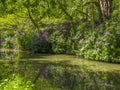 Basingstoke Canal North Hampshire