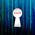 password word on matrix Royalty Free Stock Photo