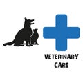 veterinary care on white Royalty Free Stock Photo