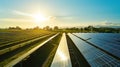 Harmony of Progress: Solar Farm in Clear Blue Skies
