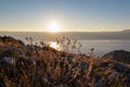 Baska - Grass at golden hour with scenic sunrise view over mountains along hiking trail in coastal town Baska, Krk Otok Royalty Free Stock Photo