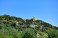 Brown tower on a high green hill with trees