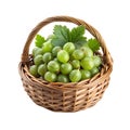 A basket of amla fruit Collection Royalty Free Stock Photo