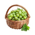 A basket of amla fruit Collection Royalty Free Stock Photo