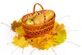 Basket with apple and pumpkin on autumn maple leaves Royalty Free Stock Photo