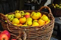 Basket with apples Royalty Free Stock Photo