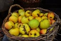 Basket with apples Royalty Free Stock Photo