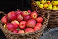 Basket with apples Royalty Free Stock Photo