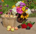 Basket with apples and a bouquet of flowers in a clay jug Royalty Free Stock Photo