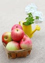 Basket of apples and bouquet phloxes Royalty Free Stock Photo