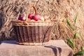 Basket of apples