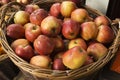 Basket of apples