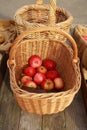 A basket of Apples fresh from the Orchard