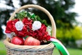 basket with apples in garden and wreath ukrainian national headdress symbols of ukraine invincibility strength Royalty Free Stock Photo