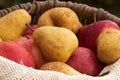 A basket of apples and pears 5 Royalty Free Stock Photo