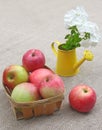 Basket of apples and phloxes Royalty Free Stock Photo