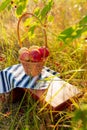 A basket of apples stands on a small wooden bench in the apple orchard. Vertical foto