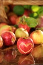 Basket of apples on a wet table Royalty Free Stock Photo