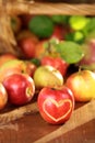 Basket of apples on a wet table Royalty Free Stock Photo