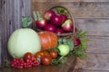 Basket with apples on a wooden background. harvesting autumn and summer harvest. vegetables and fruits pumpkin, zucchini, apple, Royalty Free Stock Photo