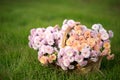 Basket with autumn flowers