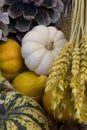 Basket with autumn fruit