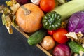 basket with autumn vegetables, pumpkin, zucchini, tomatoes, onion cucumber, cabbage on a black background, Royalty Free Stock Photo