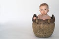 Basket Baby