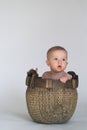 Basket Baby