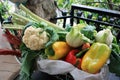 Basket of beautiful colorful healthy vegetables, red and yellow peppers, raw cabbage and cabbage fennel Royalty Free Stock Photo