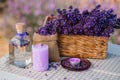 Basket with beautiful lavender in the field in Provance with Lavander water and candles. Harvesting season