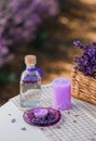 Basket with beautiful lavender in the field in Provance with Lavander water and candles. Harvesting season