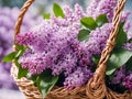 Basket with beautiful lilac flowers on table,
