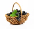 Basket with black currant Royalty Free Stock Photo