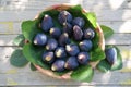 Basket of black figs Royalty Free Stock Photo