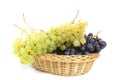 Basket of black and white grapes Royalty Free Stock Photo