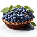 A basket of blue grapes with green leaves, clipart on white background. Royalty Free Stock Photo