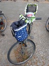 Basket blue in peas for purchases on a bicycle wheel