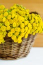 Basket with blue tansy flowers. Close-up, selective focus