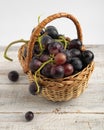 Basket with blue vine. Royalty Free Stock Photo