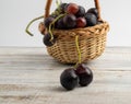 Basket with blue vine. Royalty Free Stock Photo